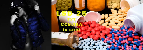 PSILOCYBIN Алексеевка