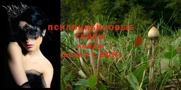 круглые Алексин