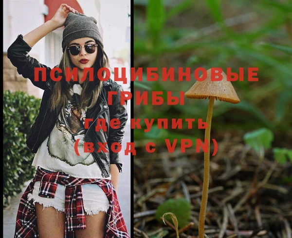 круглые Алексин