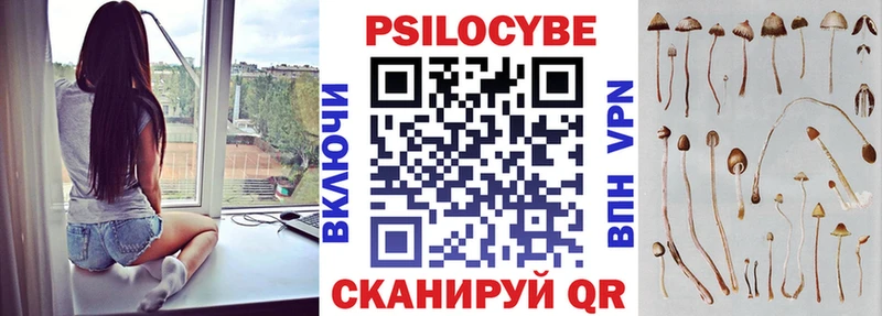 Галлюциногенные грибы GOLDEN TEACHER  наркошоп  мориарти официальный сайт  Ачинск  ОМГ ОМГ как зайти 